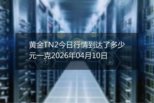 黄金TN2今日行情到达了多少元一克2026年04月10日