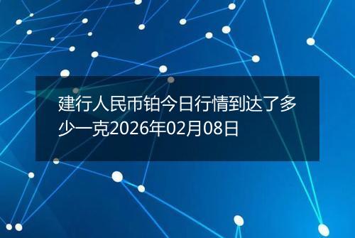 建行人民币铂今日行情到达了多少一克2026年02月08日